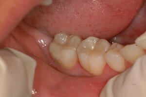 premium italian fillings premium italian fillings